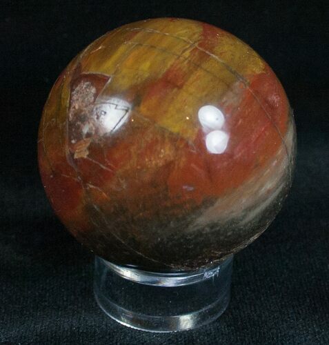 Colorful Petrified Wood Sphere #6805